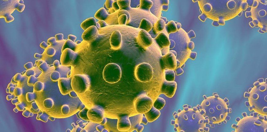 What Is Coronavirus? All You Need To Know