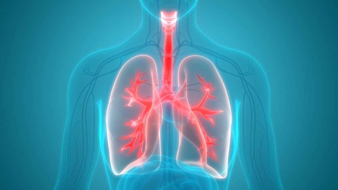 Yoga Poses to Help Boost Your Lung Health