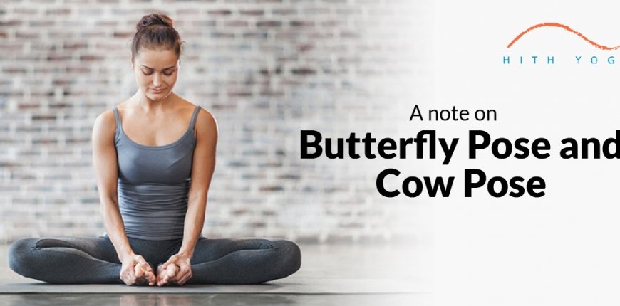 A Note on Butterfly Pose and Cow Pose