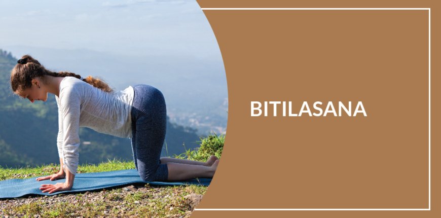 9 Health Benefits Of Bitilasana (Cow Pose)