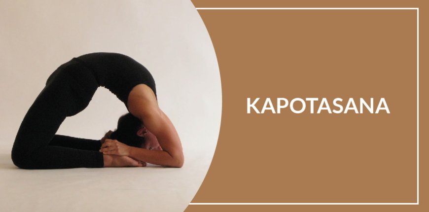 11 Kapotasana Benefits