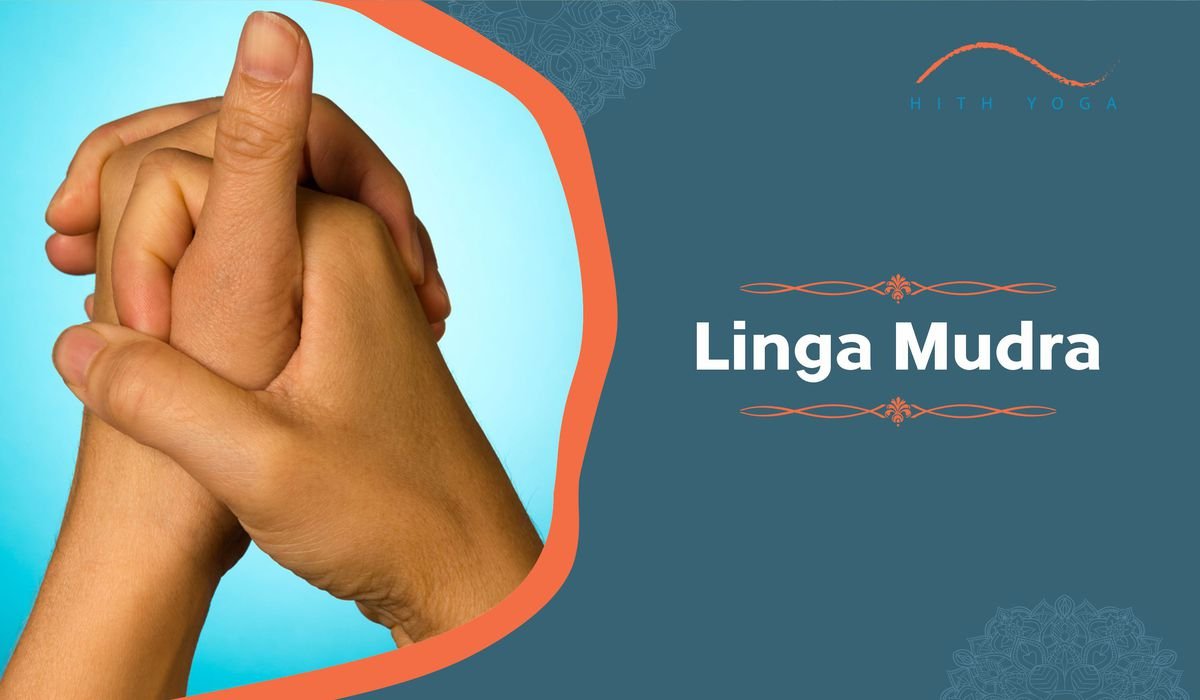 12 Benefits of Linga Mudra | Hith Yoga