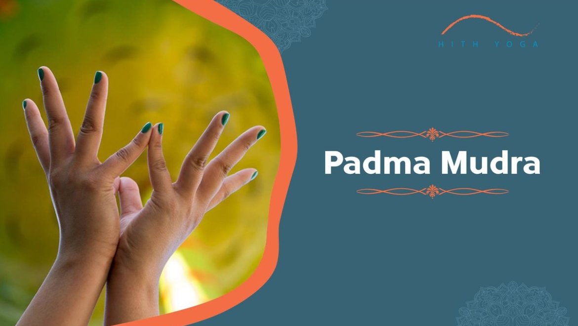 How to Perform & Benefits of Padma Mudra