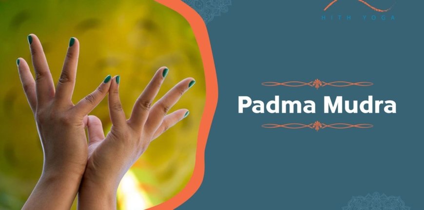 How to Perform & Benefits of Padma Mudra