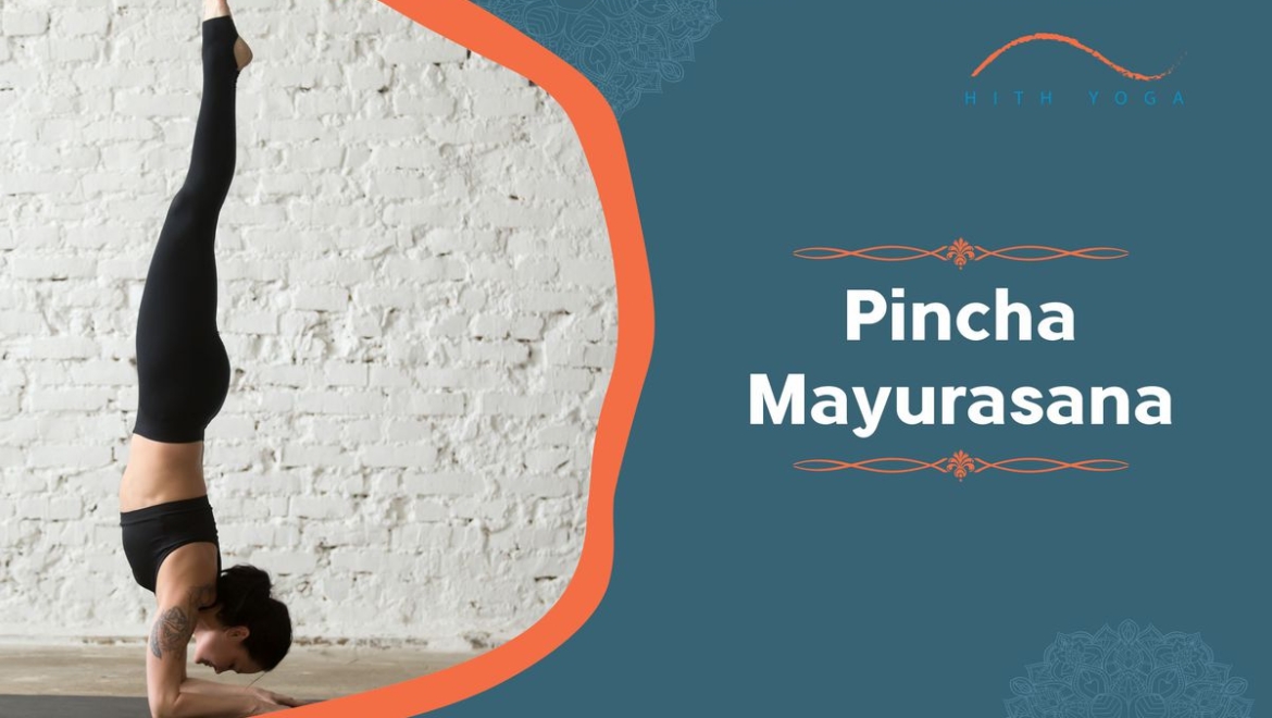 How To Do The Pincha Mayurasana And What Are Its Benefits